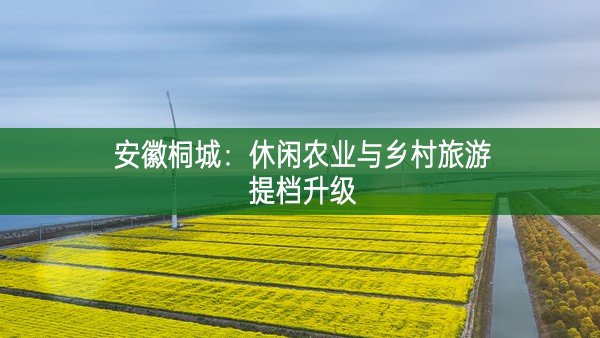 安徽桐城：休闲农业与乡村旅游提档升级
