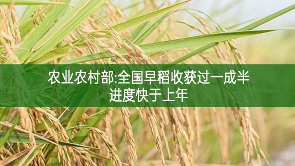 农业农村部:全国早稻收获过一成半，进度快于上年