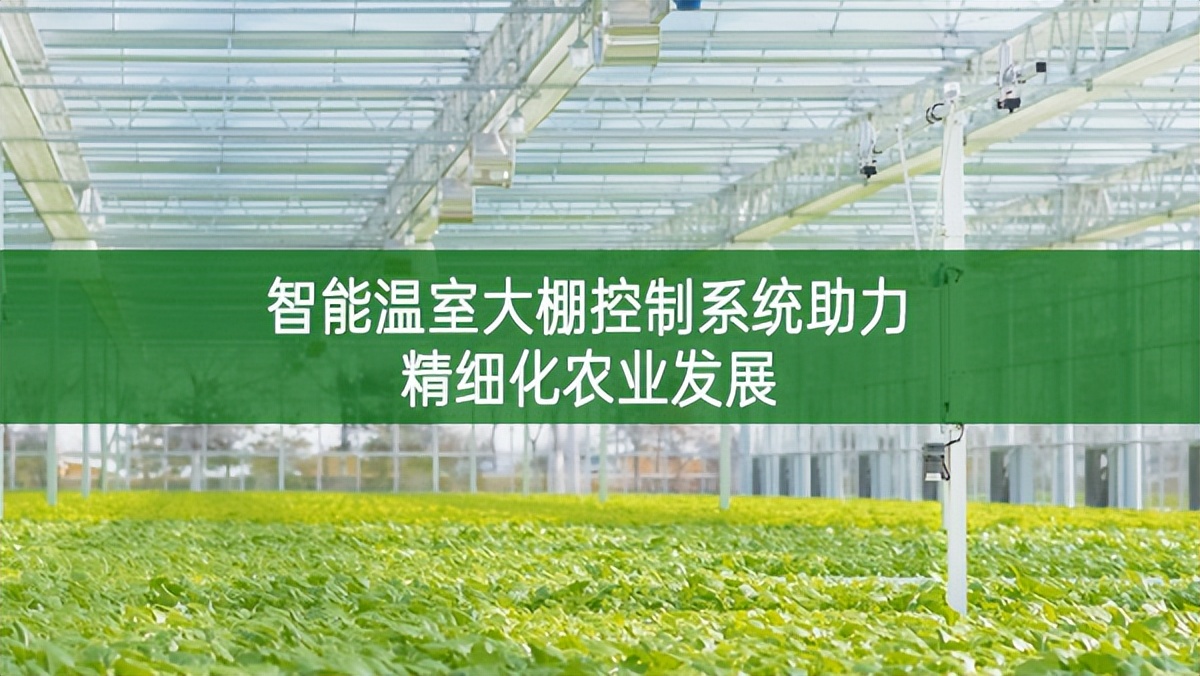 智能温室大棚控制系统助力精细化农业发展
