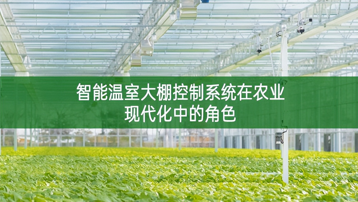 智能温室大棚控制系统在农业现代化中的角色