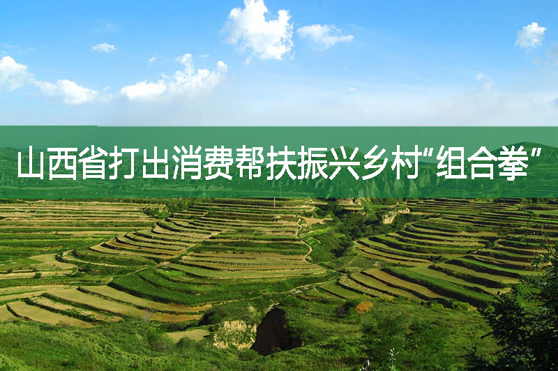 山西省打出消费帮扶振兴乡村“组合拳”