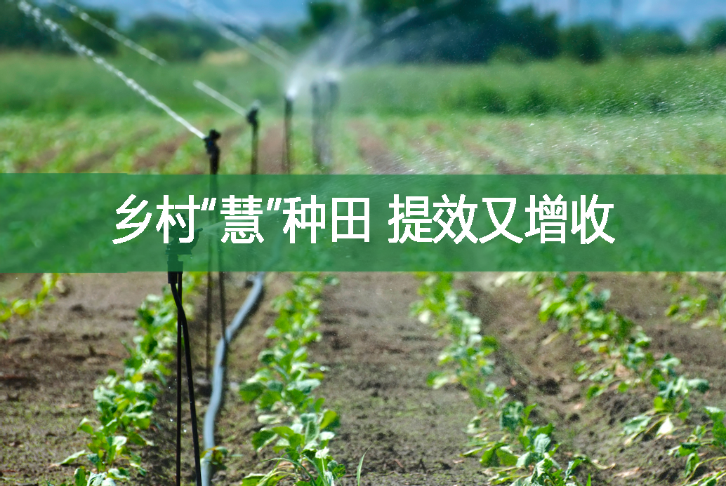 乡村“慧”种田 提效又增收