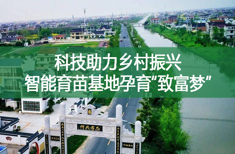 科技助力乡村振兴 智能育苗基地孕育“致富梦”