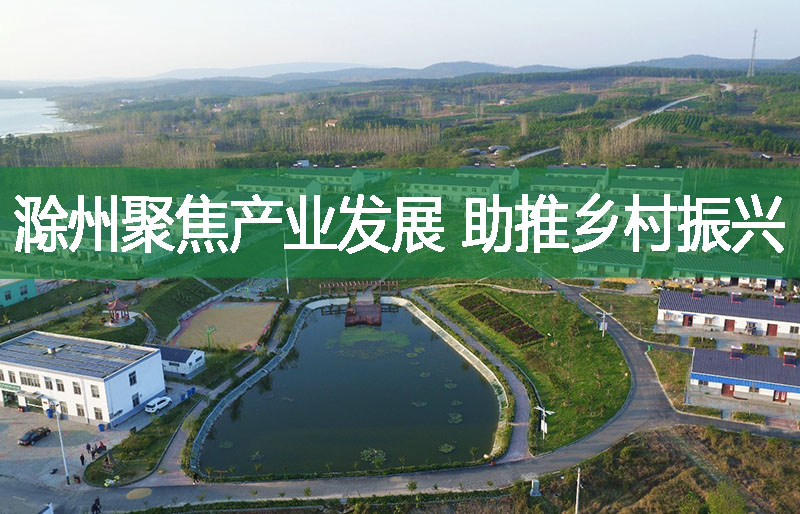 滁州聚焦产业发展 助推乡村振兴