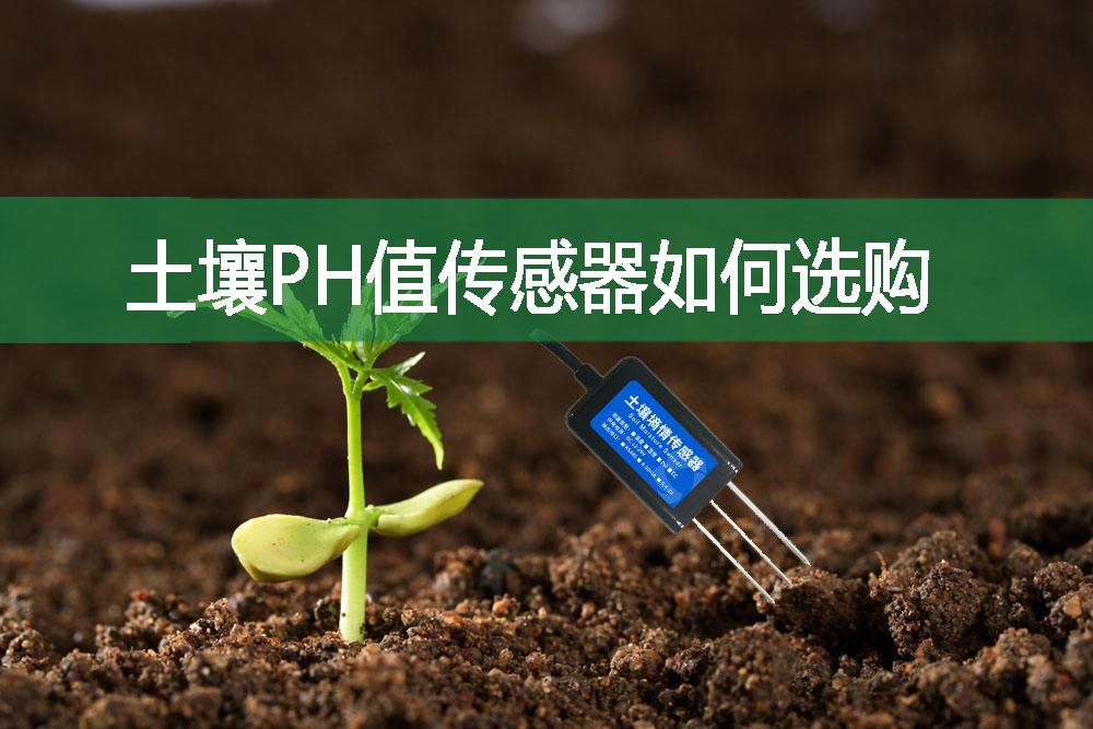 土壤PH值传感器如何选购