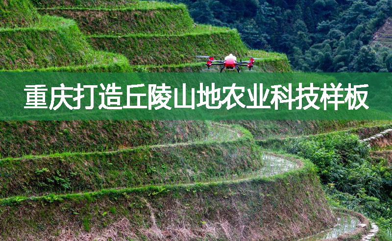 重庆打造丘陵山地农业科技样板