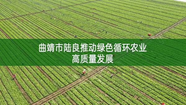 曲靖市陆良推动绿色循环农业高质量发展