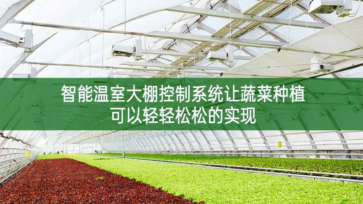智能温室大棚控制系统让蔬菜种植可以轻轻松松的实现