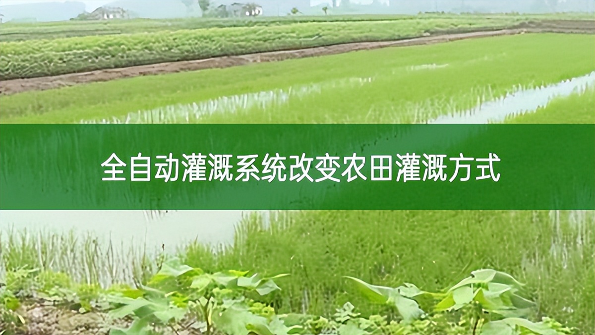 全自动灌溉系统改变农田灌溉方式