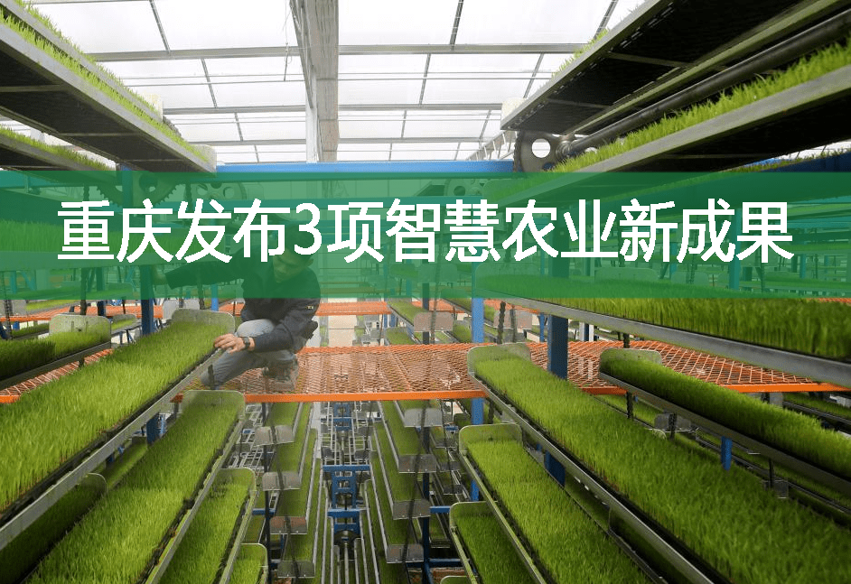 重庆发布3项智慧农业新成果
