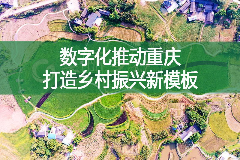 数字化推动重庆打造乡村振兴新模板