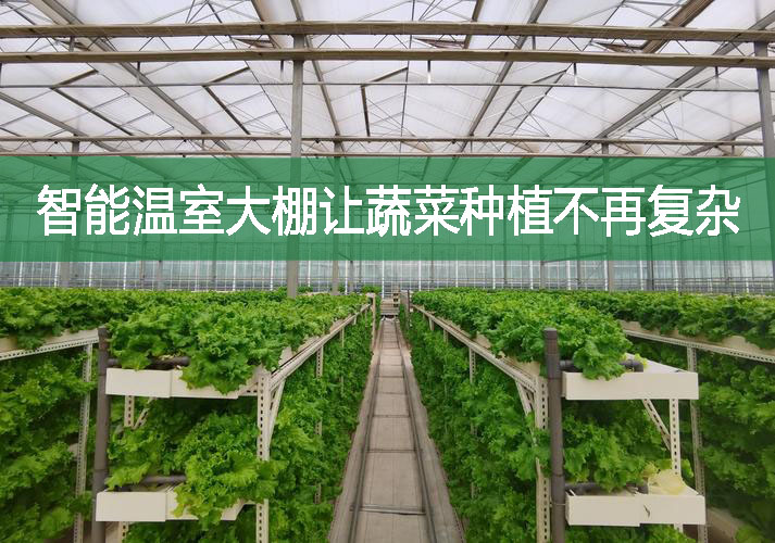 智能温室大棚让蔬菜种植不再复杂