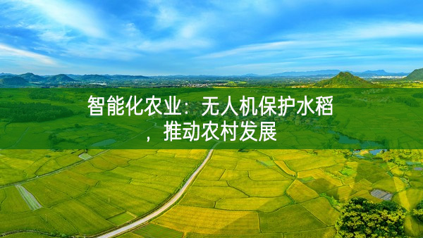 智能化农业：无人机保护水稻，推动农村发展