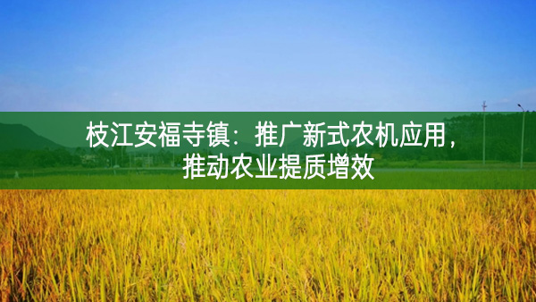 枝江安福寺镇：推广新式农机应用，推动农业提质增效