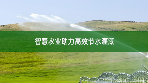 智慧农业助力高效节水灌溉