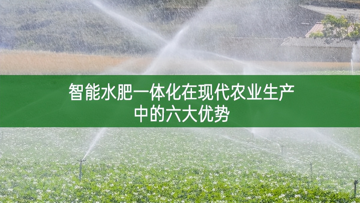 智能水肥一体化在现代农业生产中的六大优势