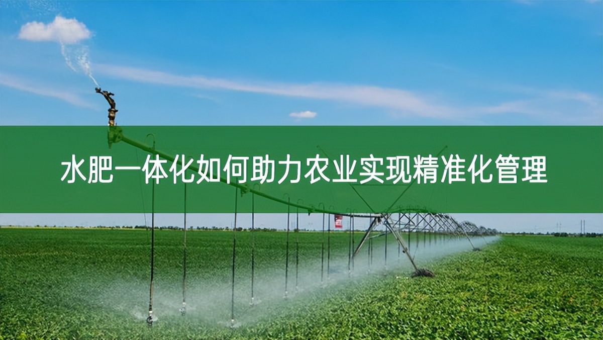 水肥一体化如何助力农业实现精准化管理