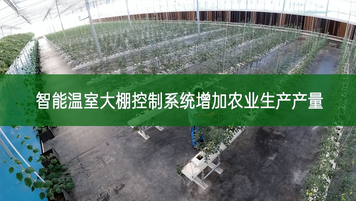 智能温室大棚控制系统增加农业生产产量