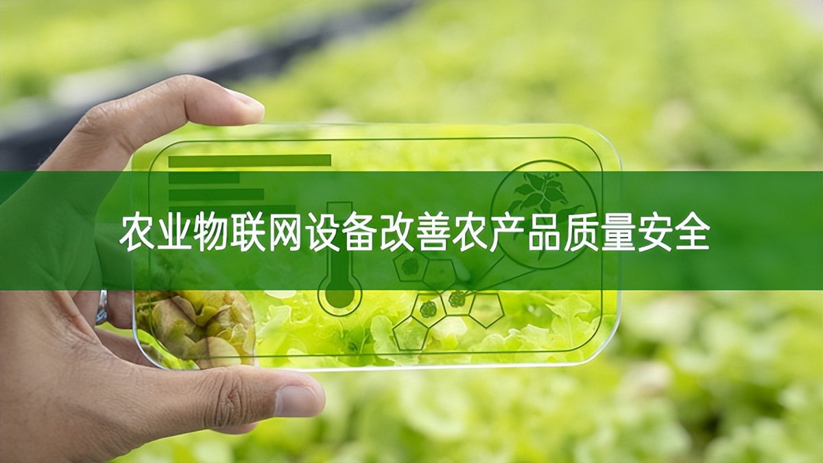 农业物联网设备改善农产品质量安全