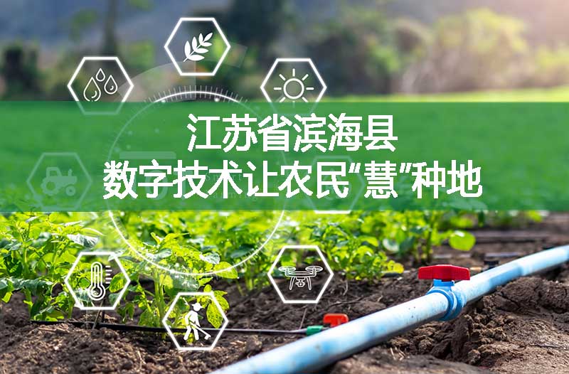 江苏省滨海县 数字技术让农民“慧”种地