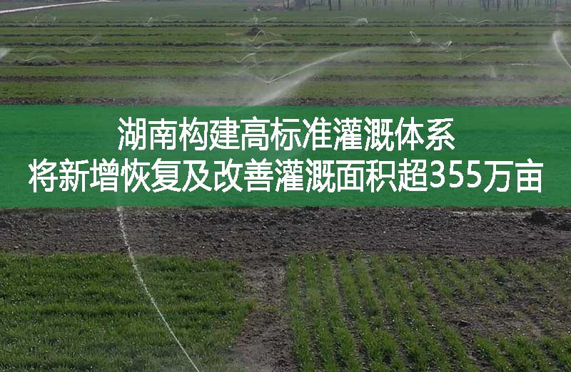 湖南构建高标准灌溉体系 将新增恢复及改善灌溉面积超355万亩