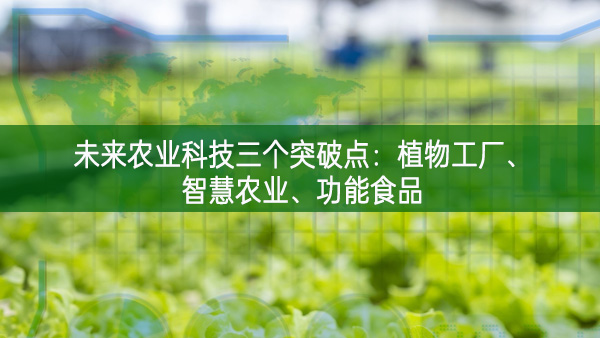 未来农业科技三个突破点：植物工厂、智慧农业、功能食品