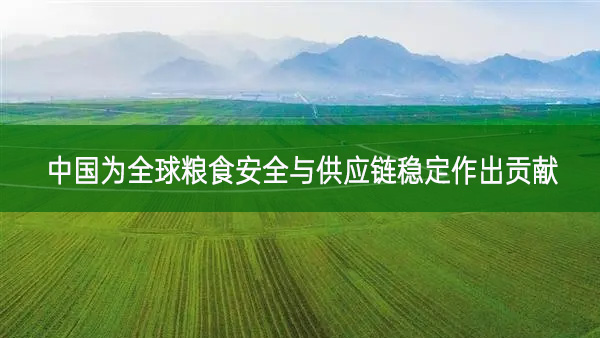 农业农村部：中国为全球粮食安全与供应链稳定作出贡献