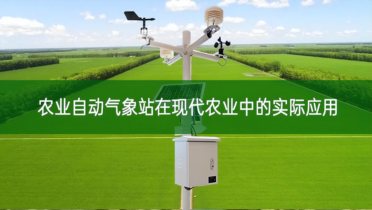 农业自动气象站在现代农业中的实际应用