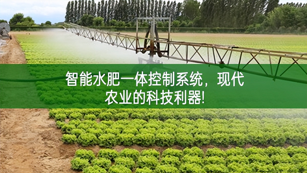 智能水肥一体控制系统，现代农业的科技利器!