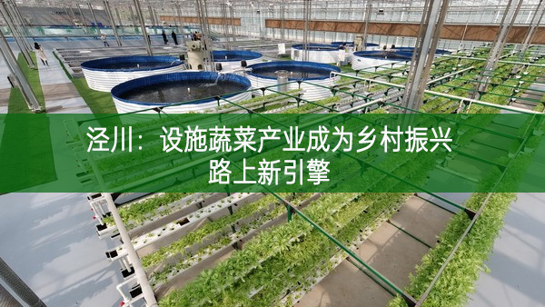 泾川：设施蔬菜产业成为乡村振兴路上新引擎