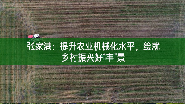张家港：提升农业机械化水平 绘就乡村振兴好“丰”景