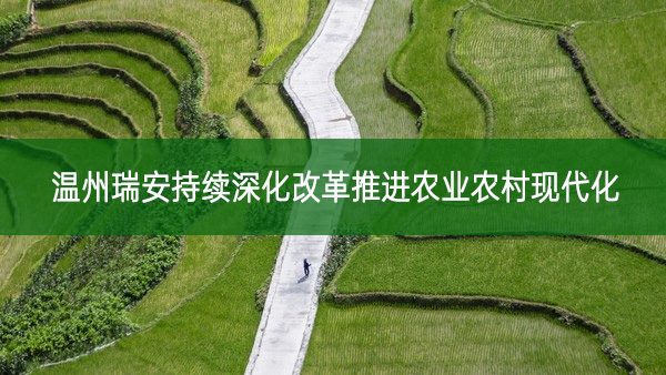 温州瑞安持续深化改革推进农业农村现代化