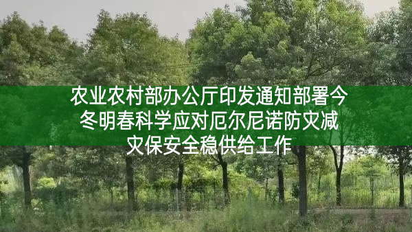 农业农村部办公厅印发通知部署今冬明春科学应对厄尔尼诺防灾减灾保安全稳供给工作