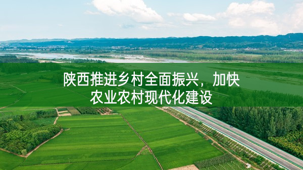 陕西推进乡村全面振兴 加快农业农村现代化建设