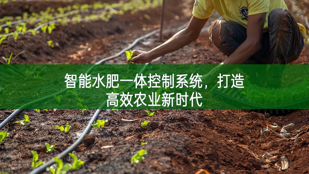 智能水肥一体控制系统，打造高效农业新时代
