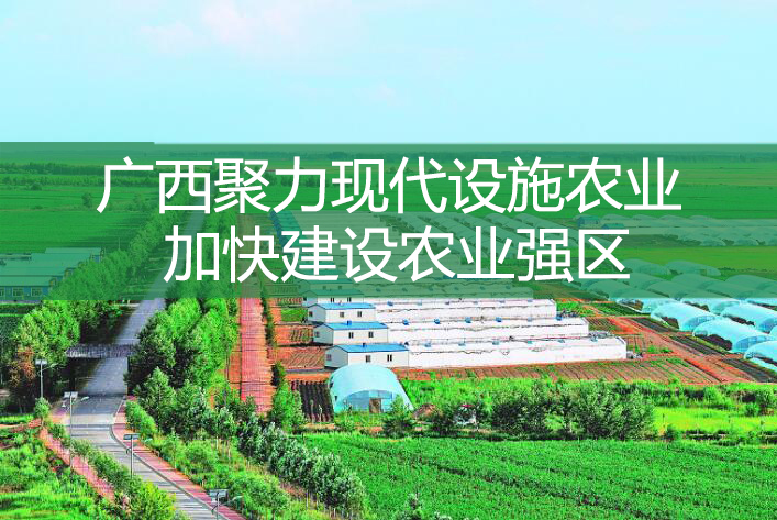 广西聚力现代设施农业 加快建设农业强区