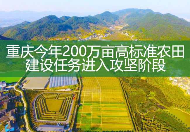 重庆今年200万亩高标准农田建设任务进入攻坚阶段