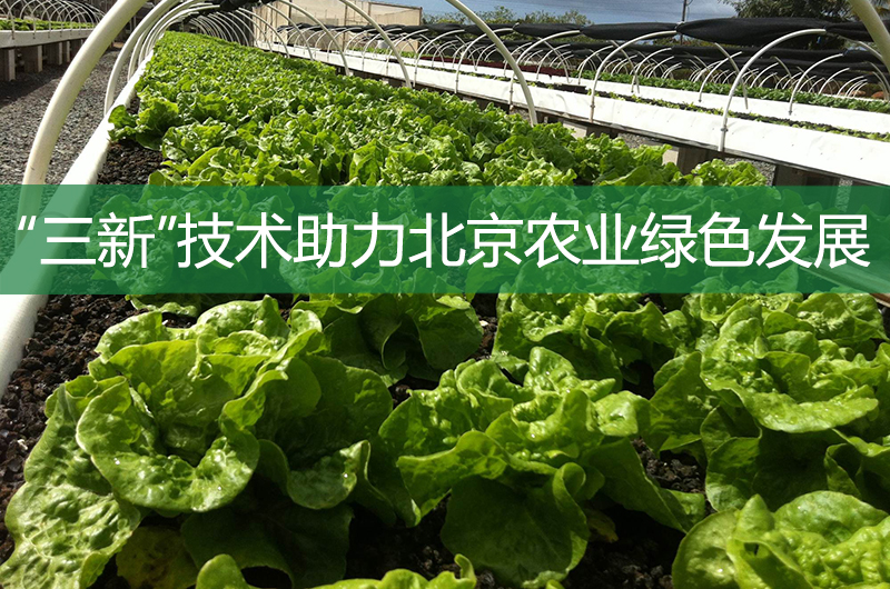 “三新”技术助力北京农业绿色发展