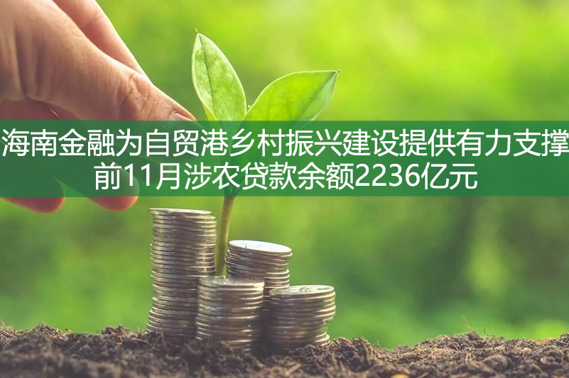 海南金融为自贸港乡村振兴建设提供有力支撑 前11月涉农贷款余额2236亿元