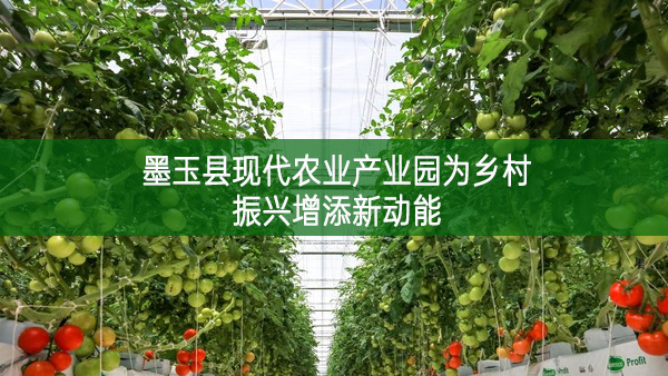 墨玉县现代农业产业园为乡村振兴增添新动能