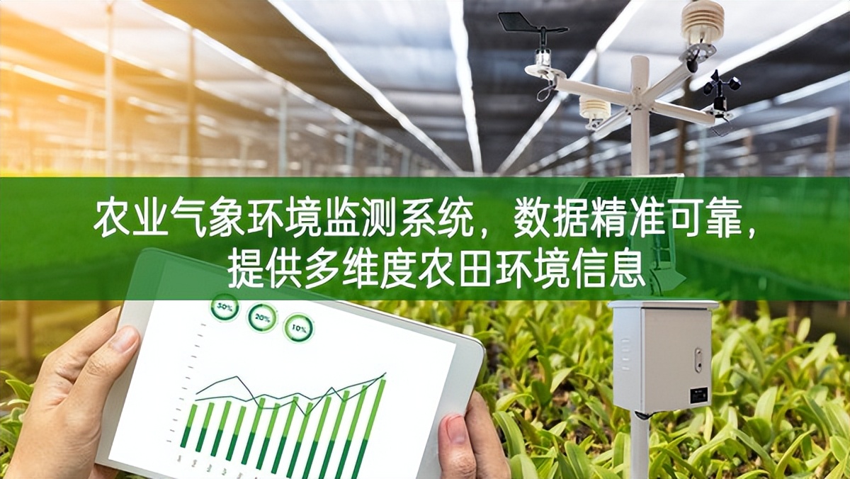 农业气象环境监测系统，数据精准可靠，提供多维度农田环境信息