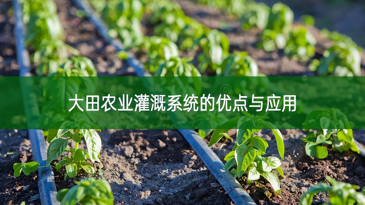 大田农业灌溉系统的优点与应用
