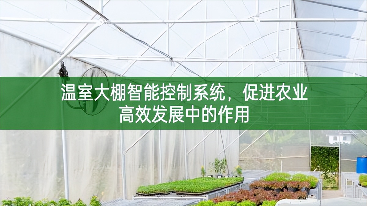 温室大棚智能控制系统，促进农业高效发展中的作用