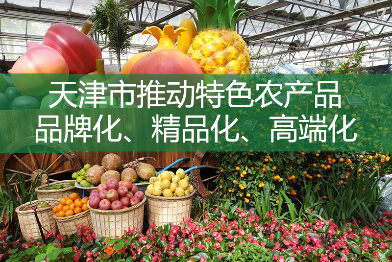 天津市推动特色农产品品牌化、精品化、高端化
