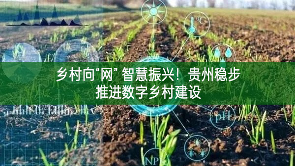 乡村向“网” 智慧振兴！贵州稳步推进数字乡村建设