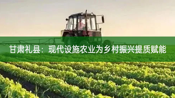 甘肃礼县：现代设施农业为乡村振兴提质赋能
