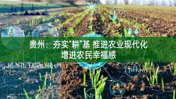 贵州：夯实“耕”基 推进农业现代化增进农民幸福感