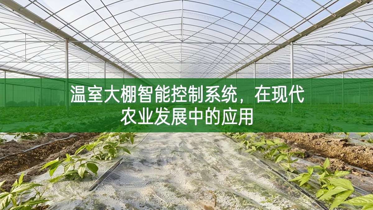 温室大棚智能控制系统，在现代农业发展中的应用
