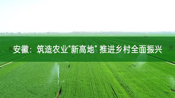 安徽：筑造农业“新高地” 推进乡村全面振兴
