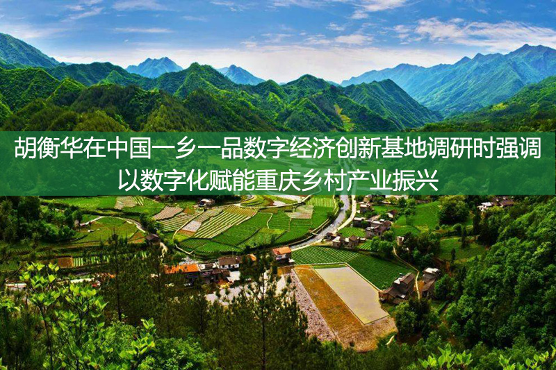 胡衡华在中国一乡一品数字经济创新基地调研时强调 以数字化赋能重庆乡村产业振兴